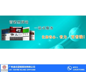 凌志營銷策劃 打造高轉(zhuǎn)化營銷型網(wǎng)頁的專家服務(wù)